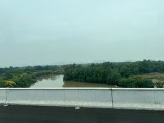 -大湾区中央湿地公园