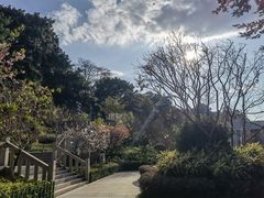 -乌山风景区