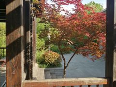 -白马涧龙池景区