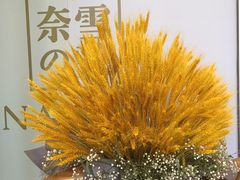 -奈雪的茶(华强北中航城店)