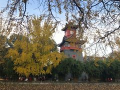 -四川大学(华西校区)