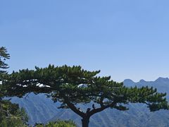 -圣莲山风景区