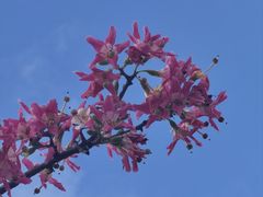 -厦门高崎国际机场-T3航站楼