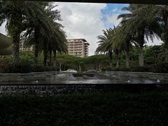 -采悦轩中餐厅·粤菜·海南菜(神州半岛喜来登度假酒店)