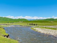 -新疆那拉提国家旅游度假区