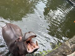 -海南热带野生动植物园