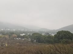 -香雪海