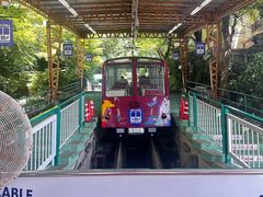 -神户市立六甲山牧场