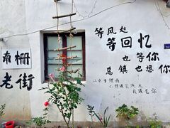 -乌镇东栅景区