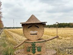 -嘉北郊野公园