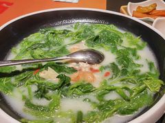 -羽鸽集·乳鸽专门店·地道顺德菜(岭南站店)