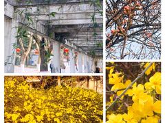 -陕西师范大学(雁塔校区)
