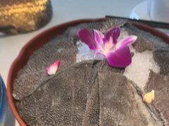 -茅草房·河畔园林火锅