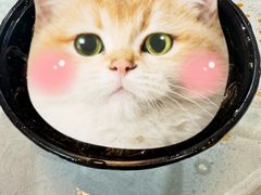 -阿巧一号私房菜(止园路店)