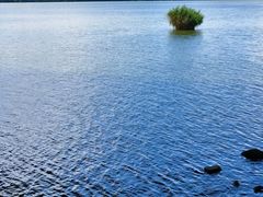 -艾溪湖湿地公园