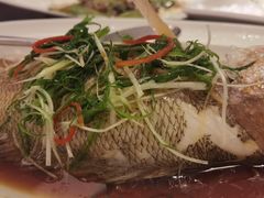 清蒸生猛海红鱼-北海银滩皇冠假日酒店-德丰楼中餐厅
