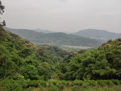 -广州市帽峰山景区