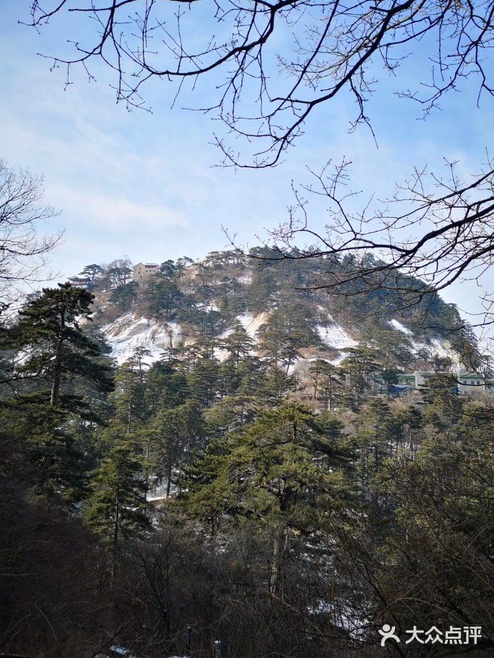 迫不及待地由远及近、自上而下地眺望