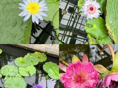 -国家植物园南园
