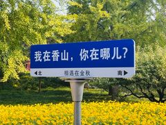 -香山公园