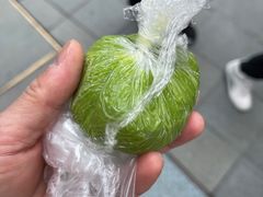 -沈大成(城隍庙店)