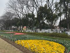 -玄武湖景区-情侣园游乐场