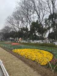 -玄武湖景区-情侣园游乐场