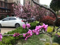 -嘉悦汗蒸时代(曙光路店)