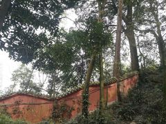-凤栖山