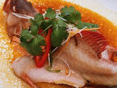 -大门水乡·顺德菜