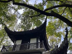 -汇龙潭