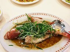 东星斑-凤城礼记鱼翅海鲜酒家(新马路总店)