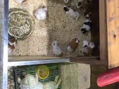 -上海大自然野生昆虫馆(东方明珠·爬宠昆虫探索中心)