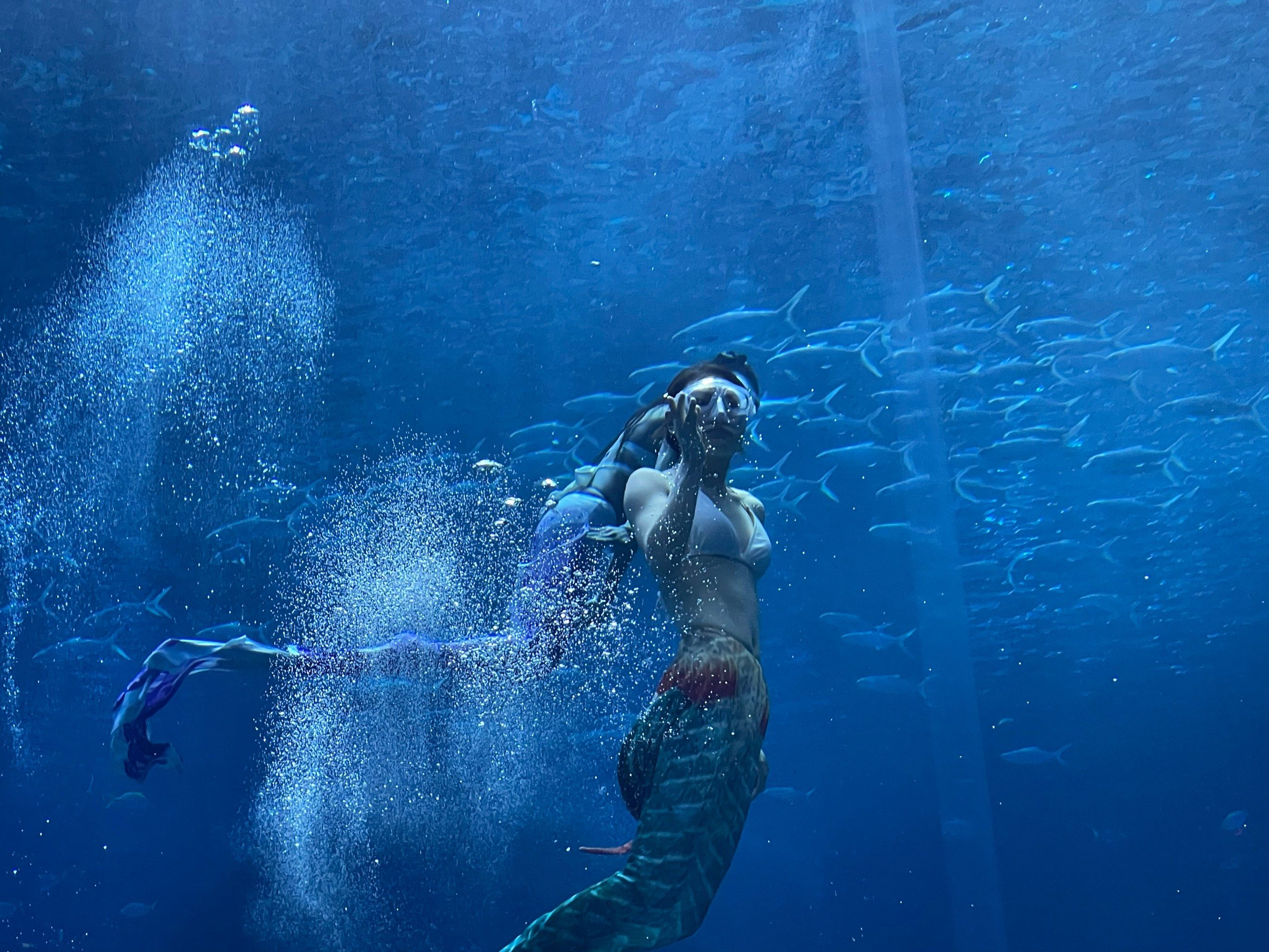 水下美人鱼的奇妙体验🌊