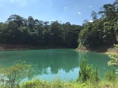 -广州市流溪河国家森林公园