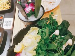-淼福猪肚鸡·椰子鸡火锅(大沙地店)