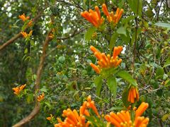 -福建鲤鱼洲酒店