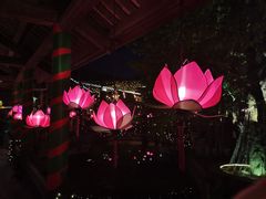 -河内西湖莲花自助餐厅