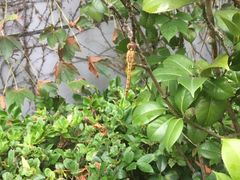 -钱小奴创意自助餐厅·原切谷饲安格斯畅吃(苏州昆山招商花园城店)