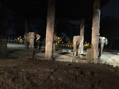 -清迈夜间动物园