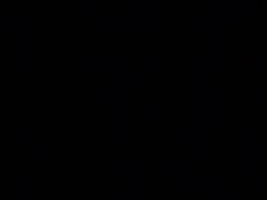 -泰州凤城河风景区-泰山公园