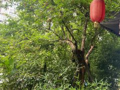 -庶民居中餐馆(花土店)