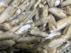 -金渔村海鲜烧烤大排档