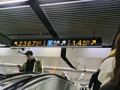 -陆家浜路(地铁站)