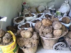 -大象粑粑造纸公园
