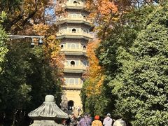 -灵谷景区