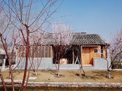 -春风习习