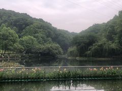 -忠山公园