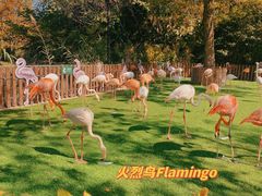 -上海野生动物园