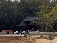 -大京沙滩